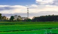 Landscape view of farmland, colza, forest. Beautiful different colors Royalty Free Stock Photo