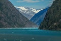 Landscape view of a fjord in Alaska with mountains Royalty Free Stock Photo