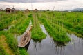 Landscape view of floating gardens on Inle lake with the farmer