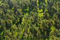 Landscape view of forest from above in the Gilboa mountains in the north of Israel