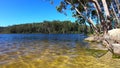 Landscape view of a forest and calm water in Lake Beedelup Pemberton Western Australia