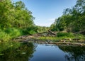 Landscape with a view of the forest river reflection, old logs have fallen into the river, waste in the river water, old bottles Royalty Free Stock Photo