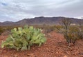 Landscape view in Franklin mountains, El Paso Texas Royalty Free Stock Photo