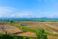 Landscape view of a freshly growing agriculture vegetable Royalty Free Stock Photo