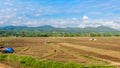Landscape view of a freshly growing agriculture vegetable Royalty Free Stock Photo