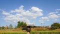 Landscape view Grass and flowers beautiful on blue sky background.Field farm floral at Lampang THAILAND.Grassland scenery spring