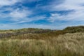 Landscape view of grass and sand dunes with an erosion prevention fence at St. Andrews beach in Scotland Royalty Free Stock Photo