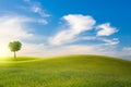 Landscape view of green field on slope and tree with blue sky and clouds background Royalty Free Stock Photo