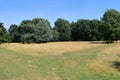 Woodland Landscape in North Kent Royalty Free Stock Photo