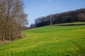 Landscape view of green grass field with blue skybackground Royalty Free Stock Photo