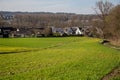 Landscape view of green grass field with blue skybackground