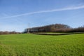 Landscape view of green grass field with blue skybackground