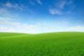 Green grass on slope with blue sky Royalty Free Stock Photo