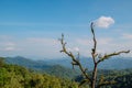 Landscape view of green lush mountain range