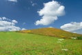 Landscape, view of green rolling fields Royalty Free Stock Photo