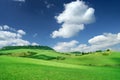 Landscape, view of green rolling fields Royalty Free Stock Photo