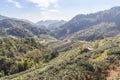 Landscape view of green terraced tea plantation 2000 in afternoon at Doi Ang khang the north of Thailand