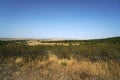 Landscape view of greenfields on a clear sky background