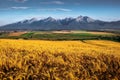 Landscape view of High Tatras mountains at sunrise, Slovakia Royalty Free Stock Photo