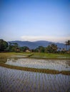 Landscape view hill