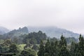 Landscape view, hills with mist and green trees. Beautiful nature