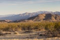 Joshua Tree National Park Landscape Royalty Free Stock Photo