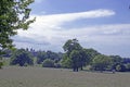 A landscape view of the Kent countryside Royalty Free Stock Photo