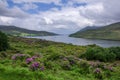 Landscape view of Killary Fjord. Green grass and blue cloudy sky