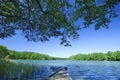 Landscape, view of lake surrounded by green forest