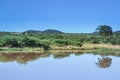 Landscape view of a lake surrounded by mountains and green savanna grassland, Pilanesburg Nature Reserve Royalty Free Stock Photo