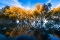 The Scene of the Autumn of Lake Tekapo Royalty Free Stock Photo