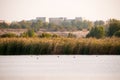 Landscape view of a lake in Vacaresti Nature Park, Bucharest City, Romania Royalty Free Stock Photo