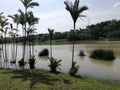 Landscape view of lakeside at Presint 12, Putrajaya Royalty Free Stock Photo