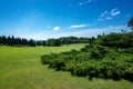 Landscape view of a large garden with manicured lawn and trees Royalty Free Stock Photo