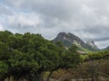 landscape with View of limestone mountain Monte Oseli, green forest, trees and hills in region Ogliastra, Urzulei