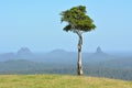 Glass House Mountains Sunshine Coast Queensland Australia Royalty Free Stock Photo