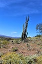 Landscape view of, Maricopa County, Rio Verde, Arizona Royalty Free Stock Photo