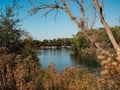 landscape view of marina on sacramento river framed by dead tree in fall Royalty Free Stock Photo