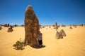 Mature woman tourist admiring the limestone pinnacles in the Nambung National Park, Cervantes, Western Australia