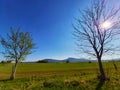 Meadow with Novohrad mountines on background Royalty Free Stock Photo