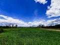 Landscape view meedow with blue sky and white cloud in the Northern of Thailand