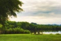 Landscape View Of Milton Lake In Oak Ridge Tennessee