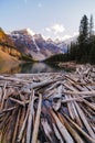 Landscape view of Moraine lake with dead trees in Canadian Rocky mountains Royalty Free Stock Photo
