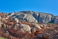 Landscape view of mountain with burned bushes and plants on Lions Head, Cape Town. The aftermath of a devastating