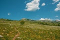 Landscape view of mountain, green grass meadow Royalty Free Stock Photo