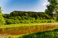 Landscape view of the mountain river with green vegetation trees bushes and grass and blue sky in summer Royalty Free Stock Photo