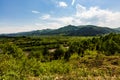 Landscape view of the mountain river with green vegetation trees bushes and grass and blue sky in summer Royalty Free Stock Photo