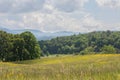 Landscape view of mountains, trees, and grassland at Cades Cove Park Royalty Free Stock Photo
