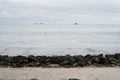 Landscape view of a muddy beach at low tide