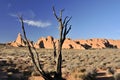 Sandstones in Arches National Park, Utah, USA